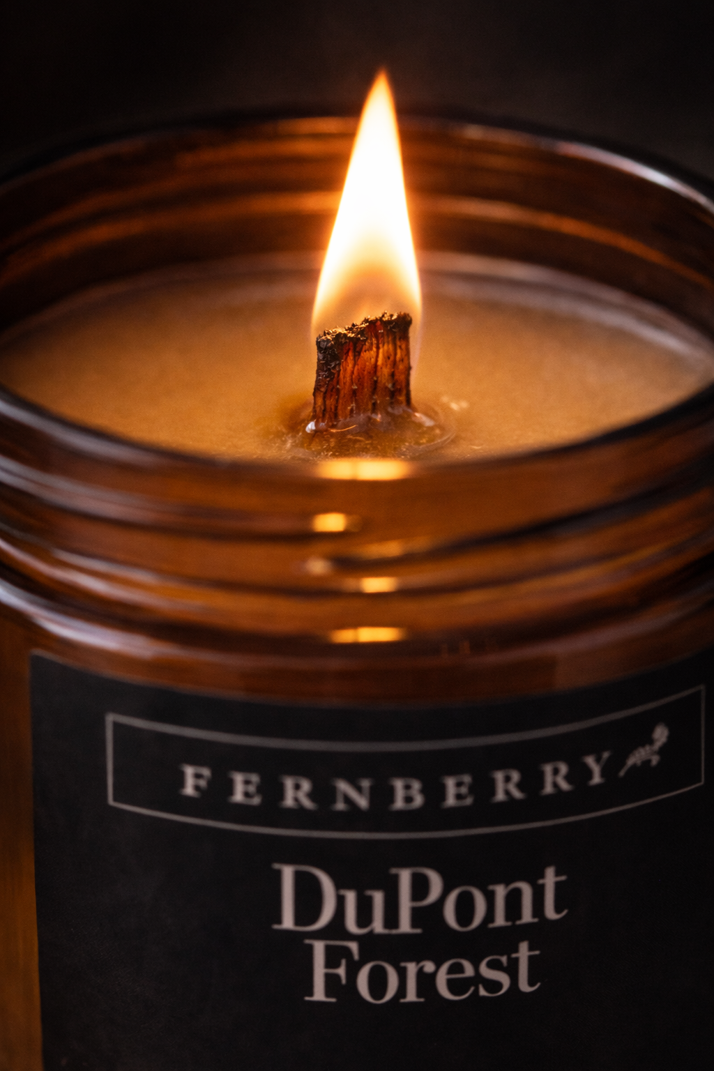 DuPont Forest- 8oz Wood Wick Candle